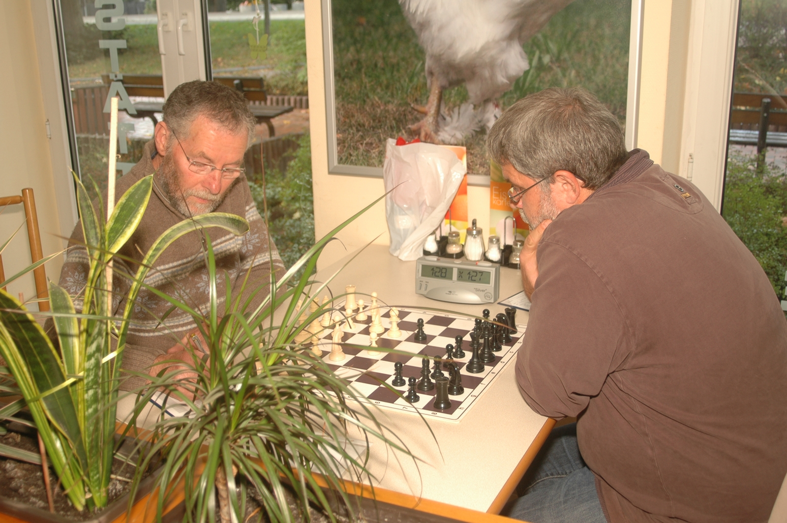 Vorschau